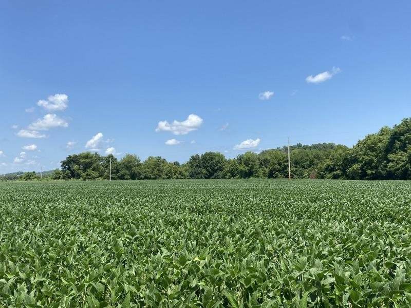 520 Liberty Church Road - Photo 1