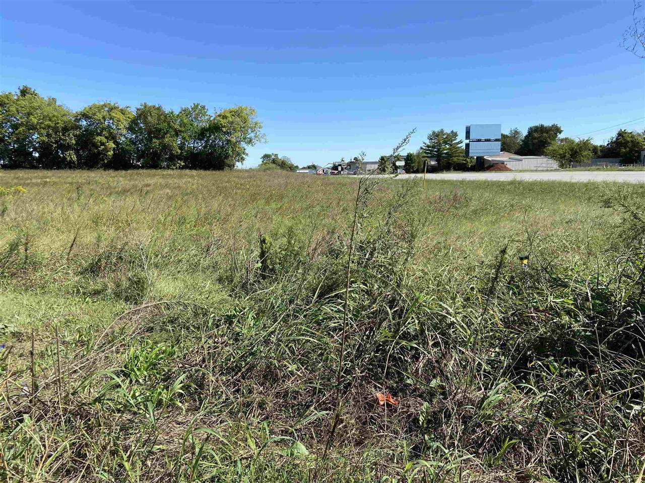 lot 1 Nashville Road - Photo 1