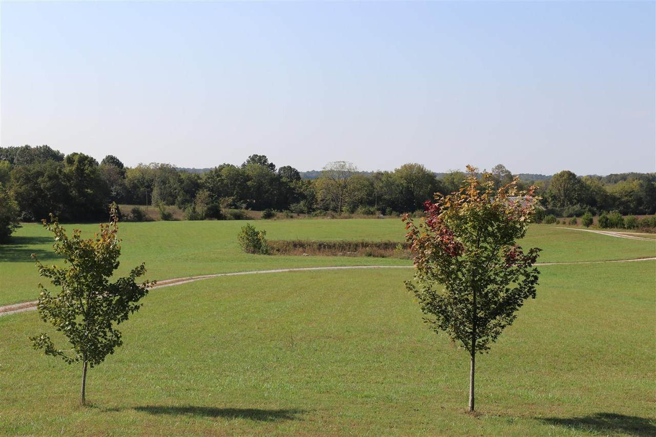 719 Mount Olivet Girkin Road - Photo 1
