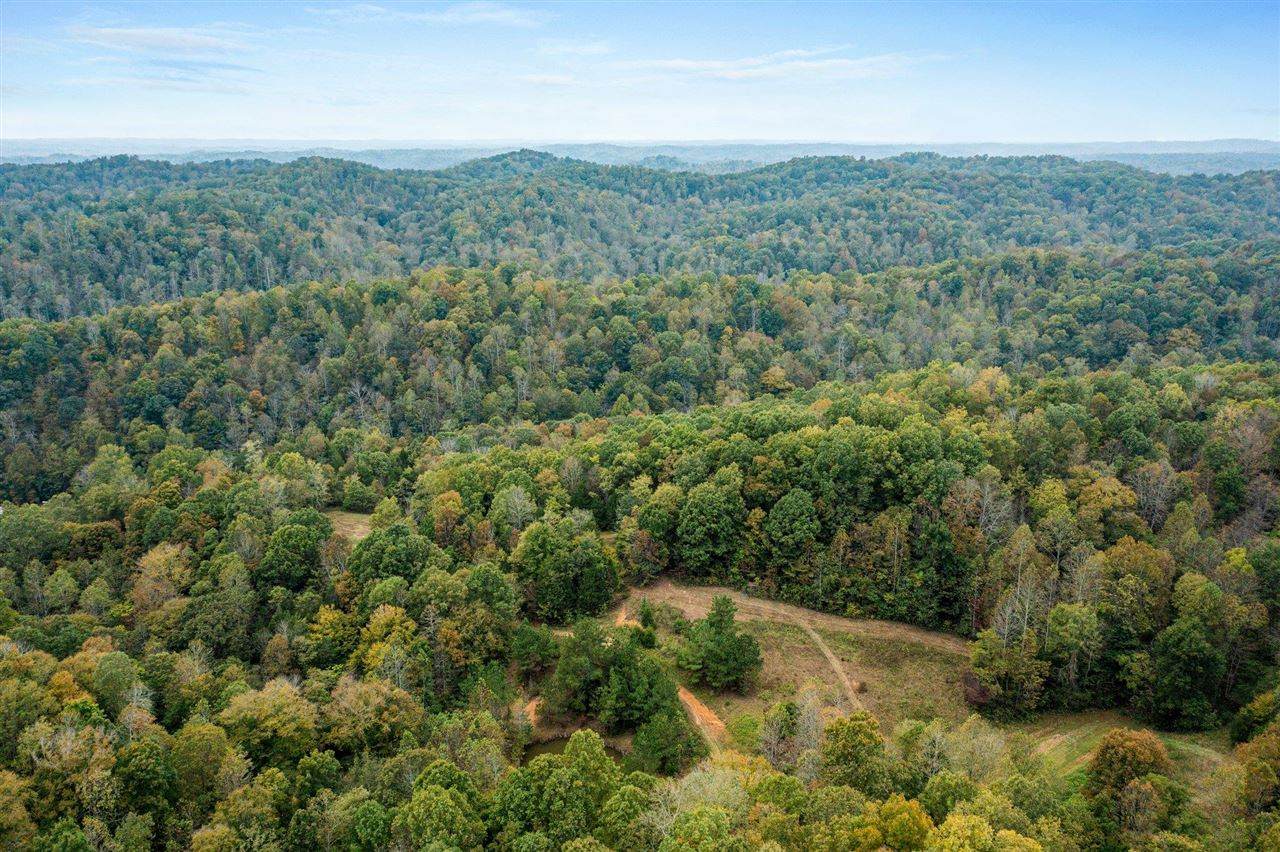2600 Dutch Creek Road - Photo 1
