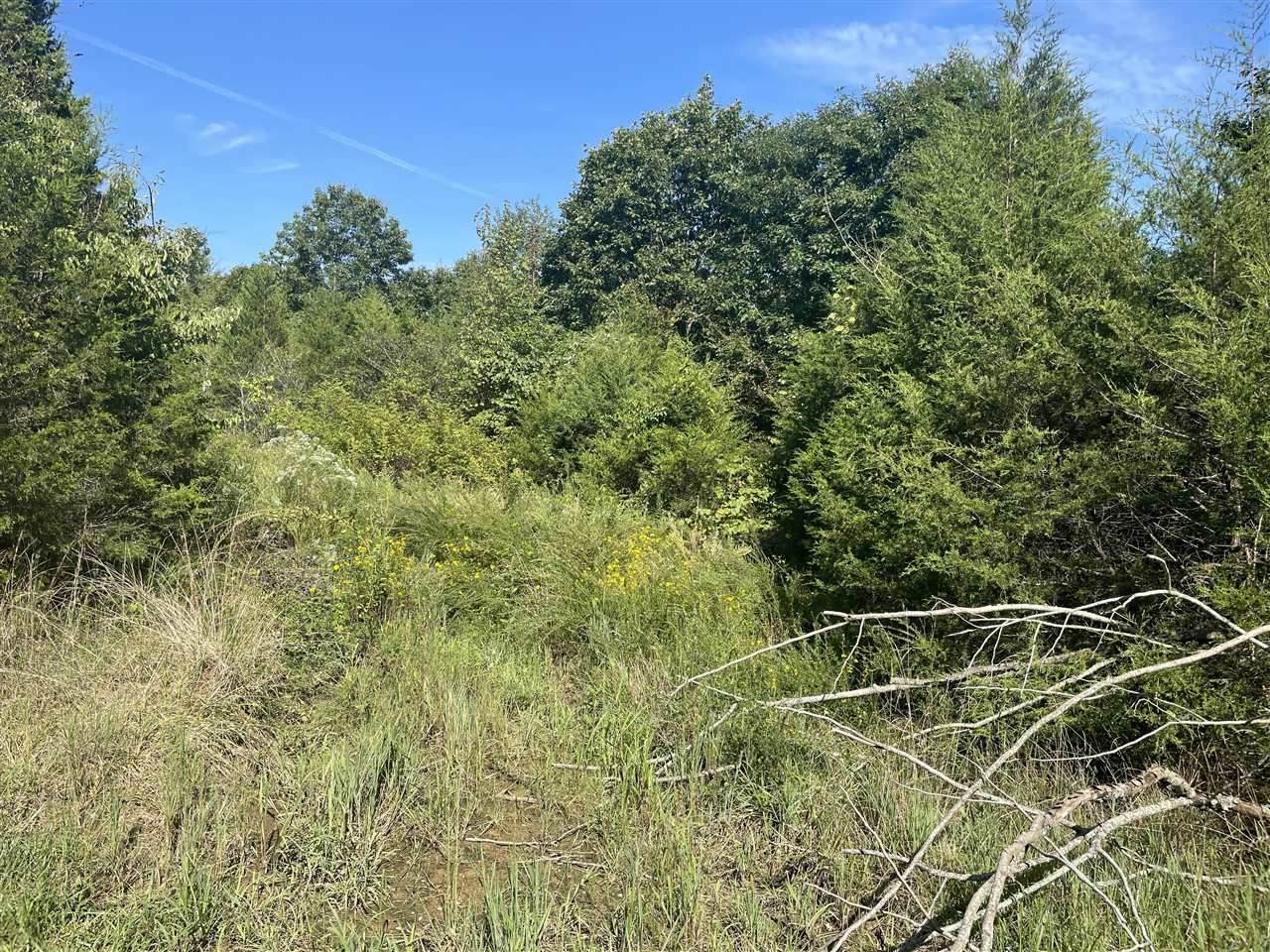 Tract 1-2 Segal Rd. - Photo 1