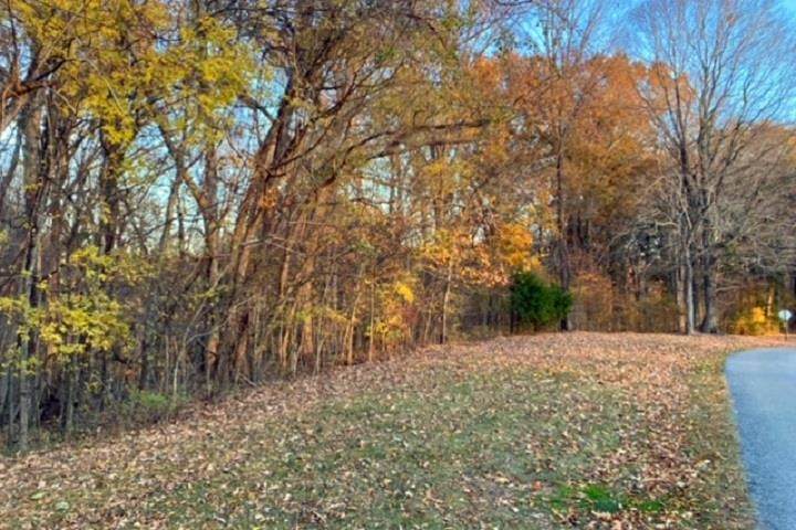 Lots 4 & 1 Rolling Mill Road - Photo 1