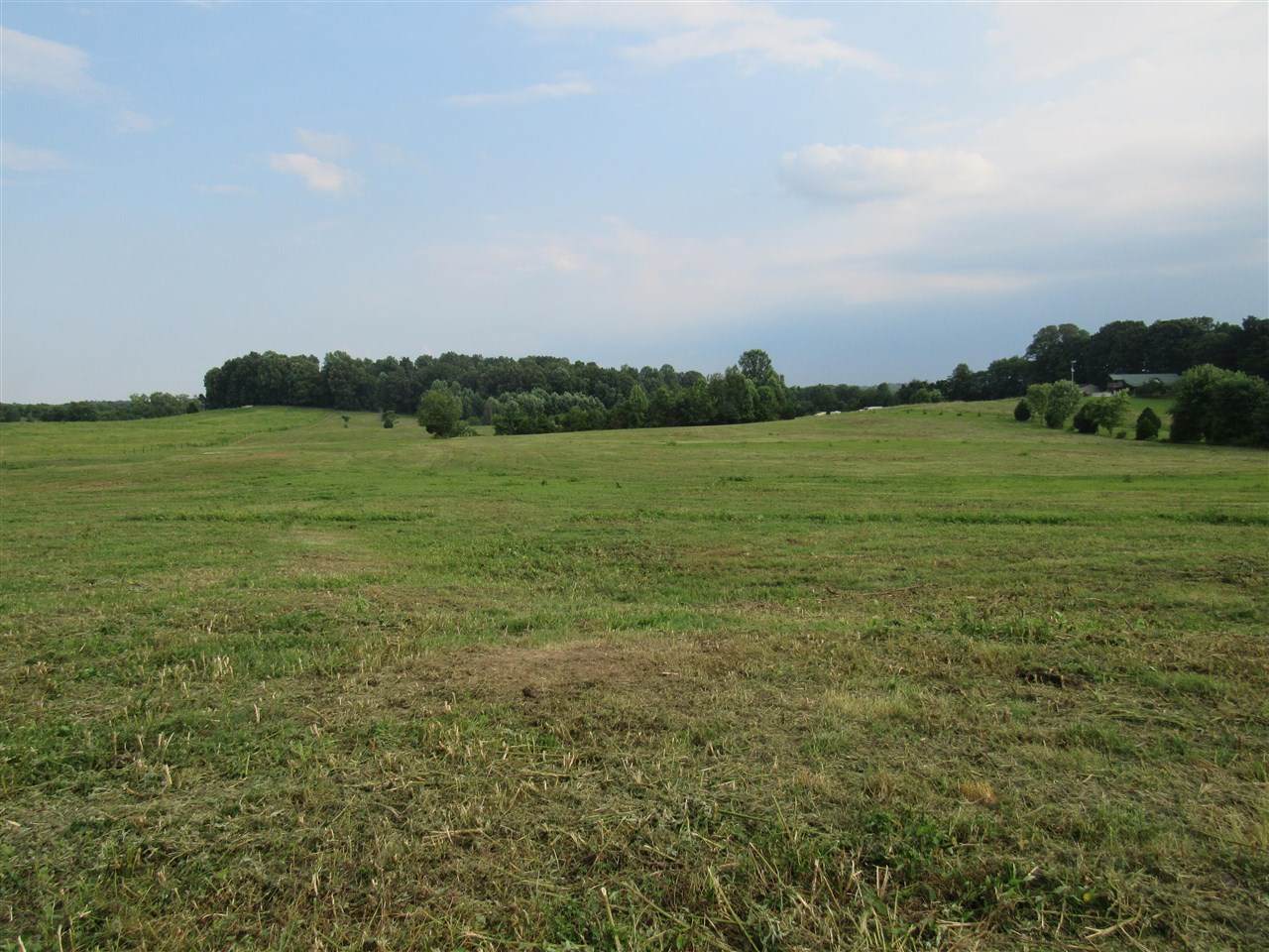 493 A R Oliver Rd. - Photo 1