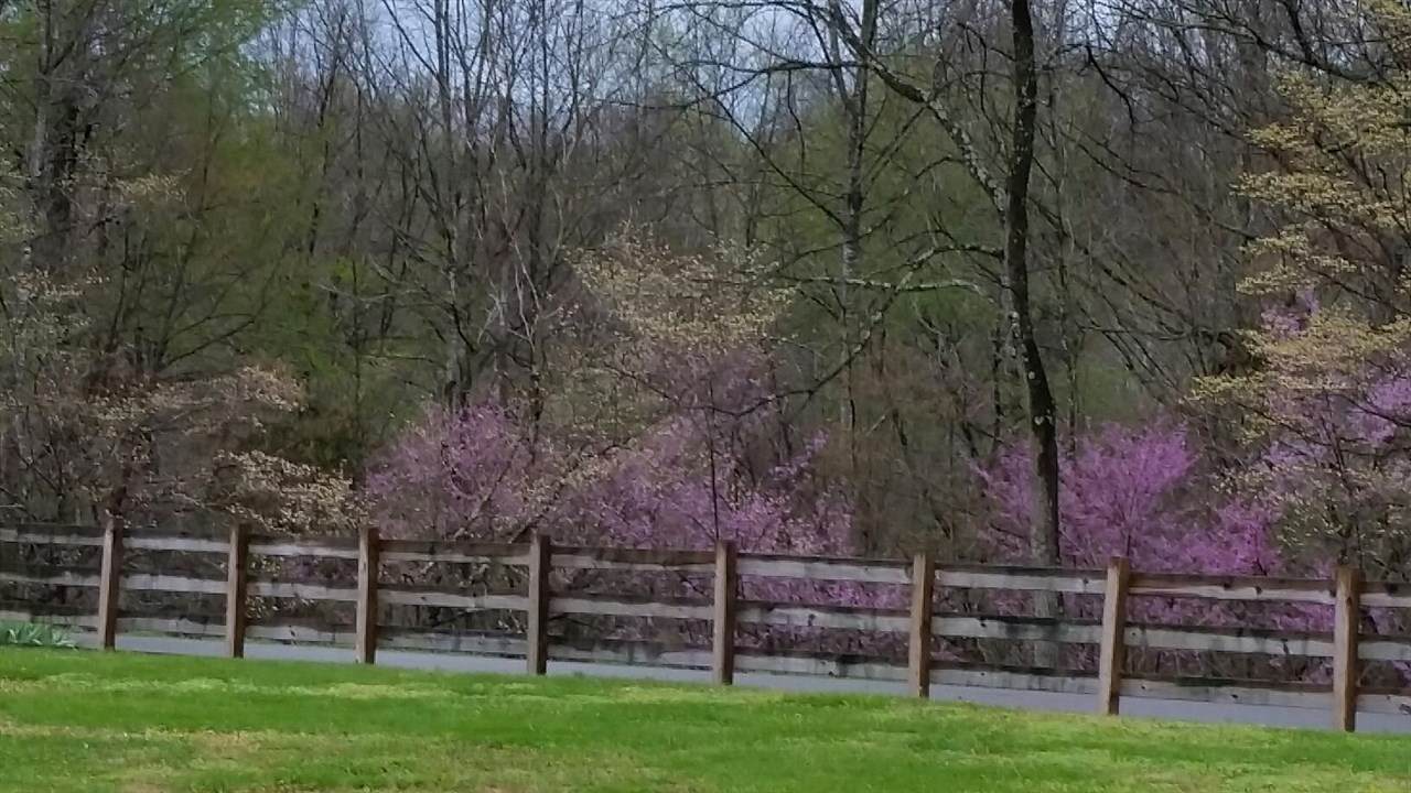 Near 468 Old Buck Creek Road - Photo 1