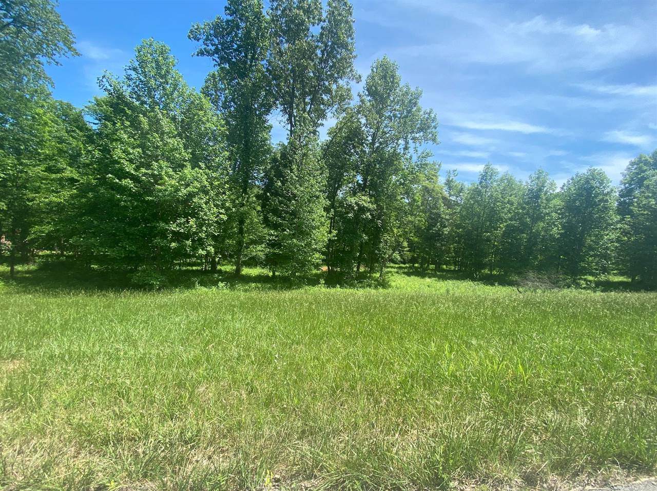 Lot 13 Bowling Lane - Photo 1