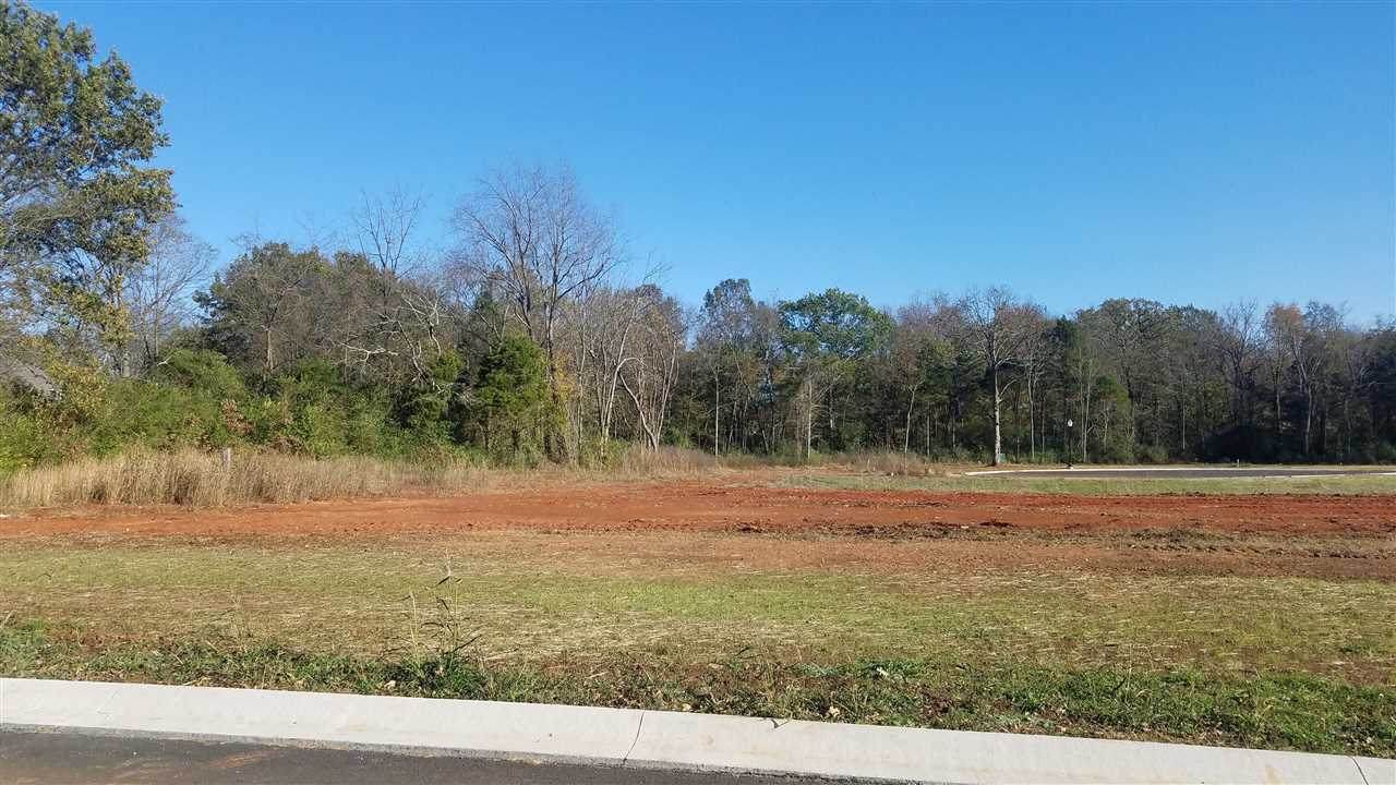 1548 Cabell Drive - Photo 1