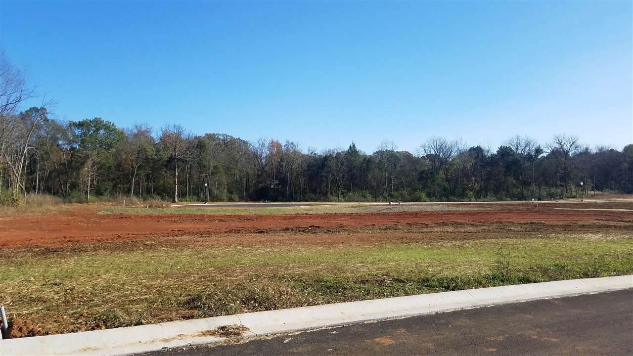 1584 Cabell Drive - Photo 1