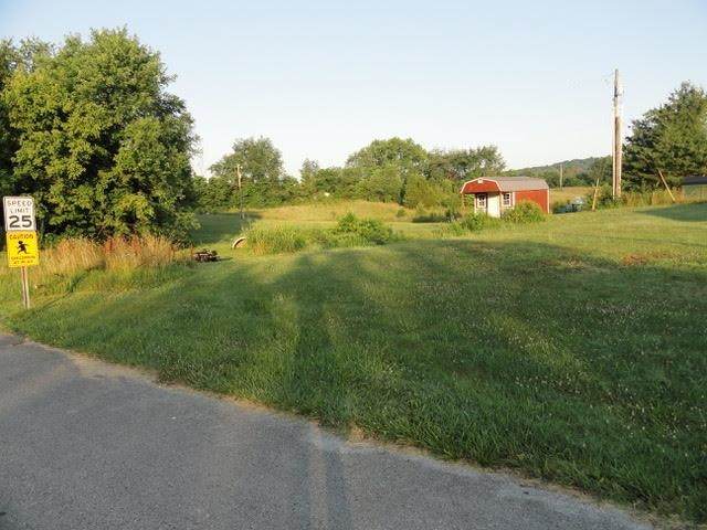 Lots Lee Drive - Photo 1