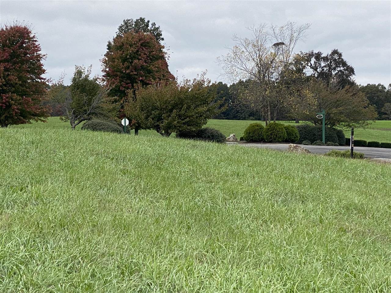 Fairway Boulevard - Photo 1