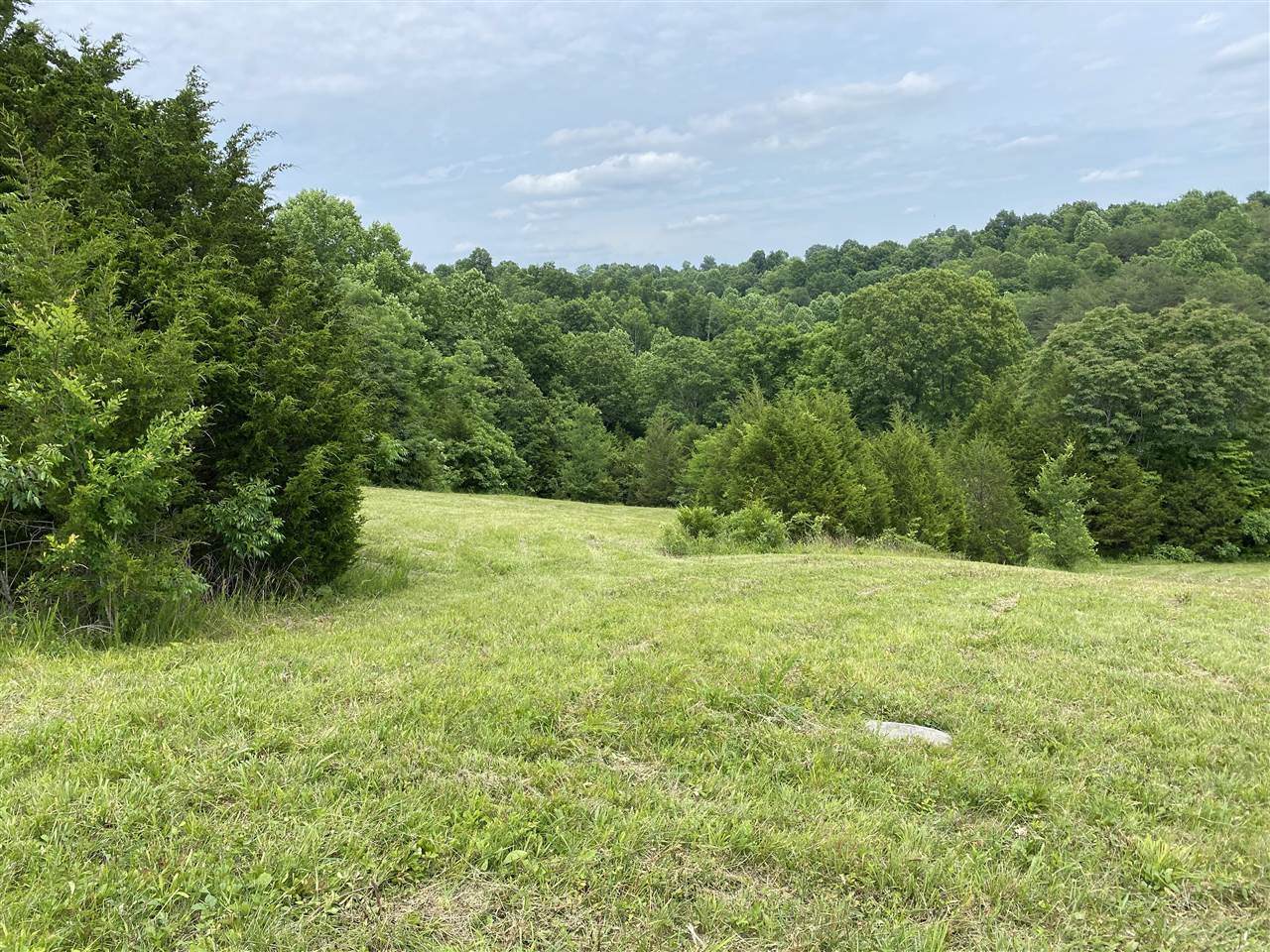 395 Leatherwood Church Road - Photo 1