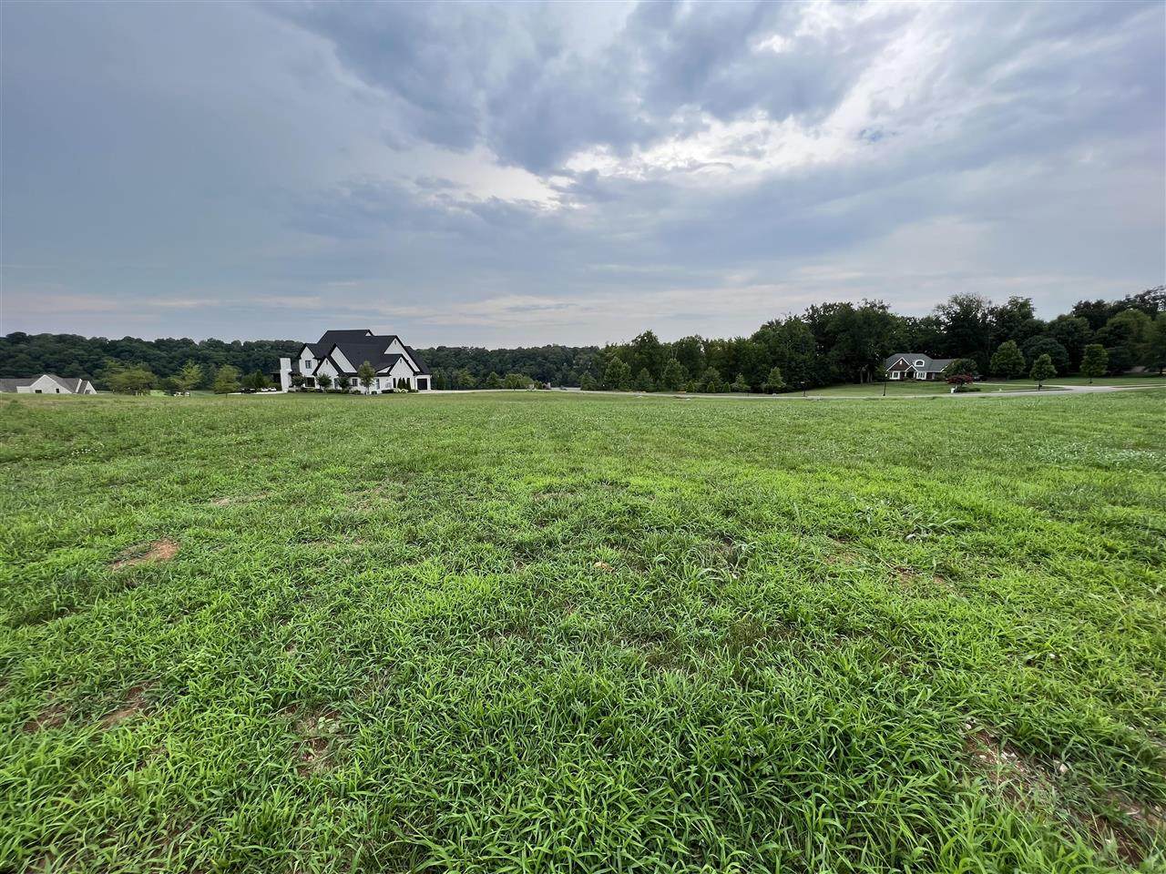 1251 Drakes Ridge Lane - Photo 1