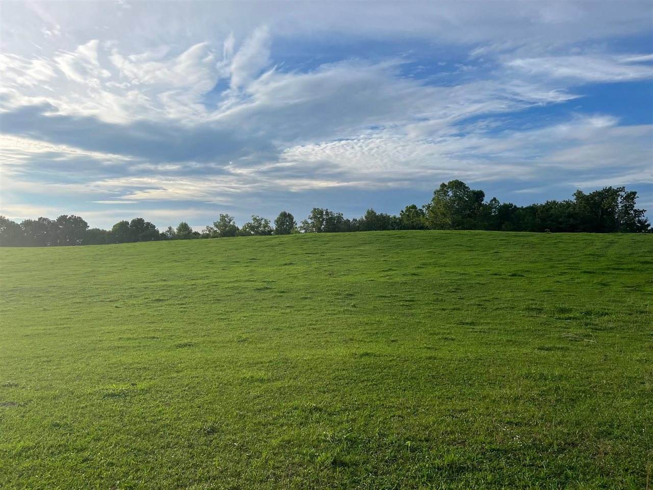 845 Mouth Of Bear Creek Road - Photo 1