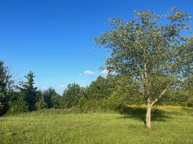 0 Gary Whittinghill Road - Photo 1