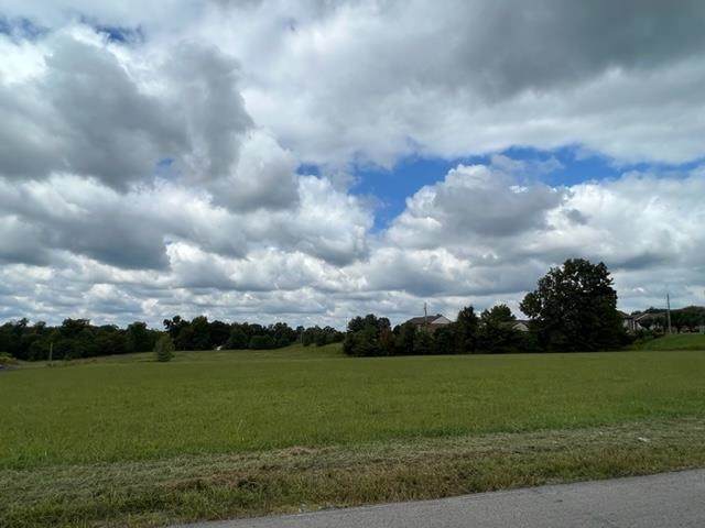 New Gallatin Road - Photo 1