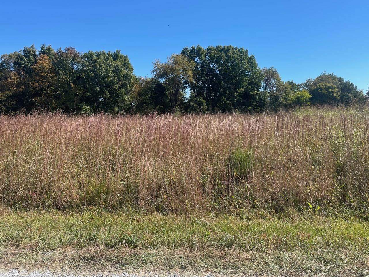 Lot 31,32,33 Casey Station Drive - Photo 1