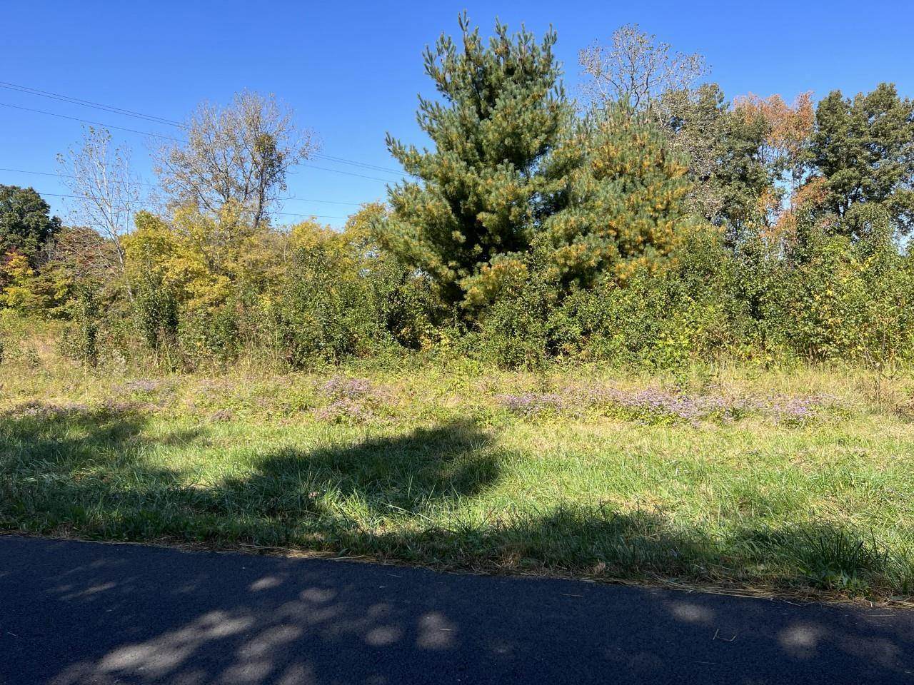 Tract 4 Hall Leffew Road - Photo 1