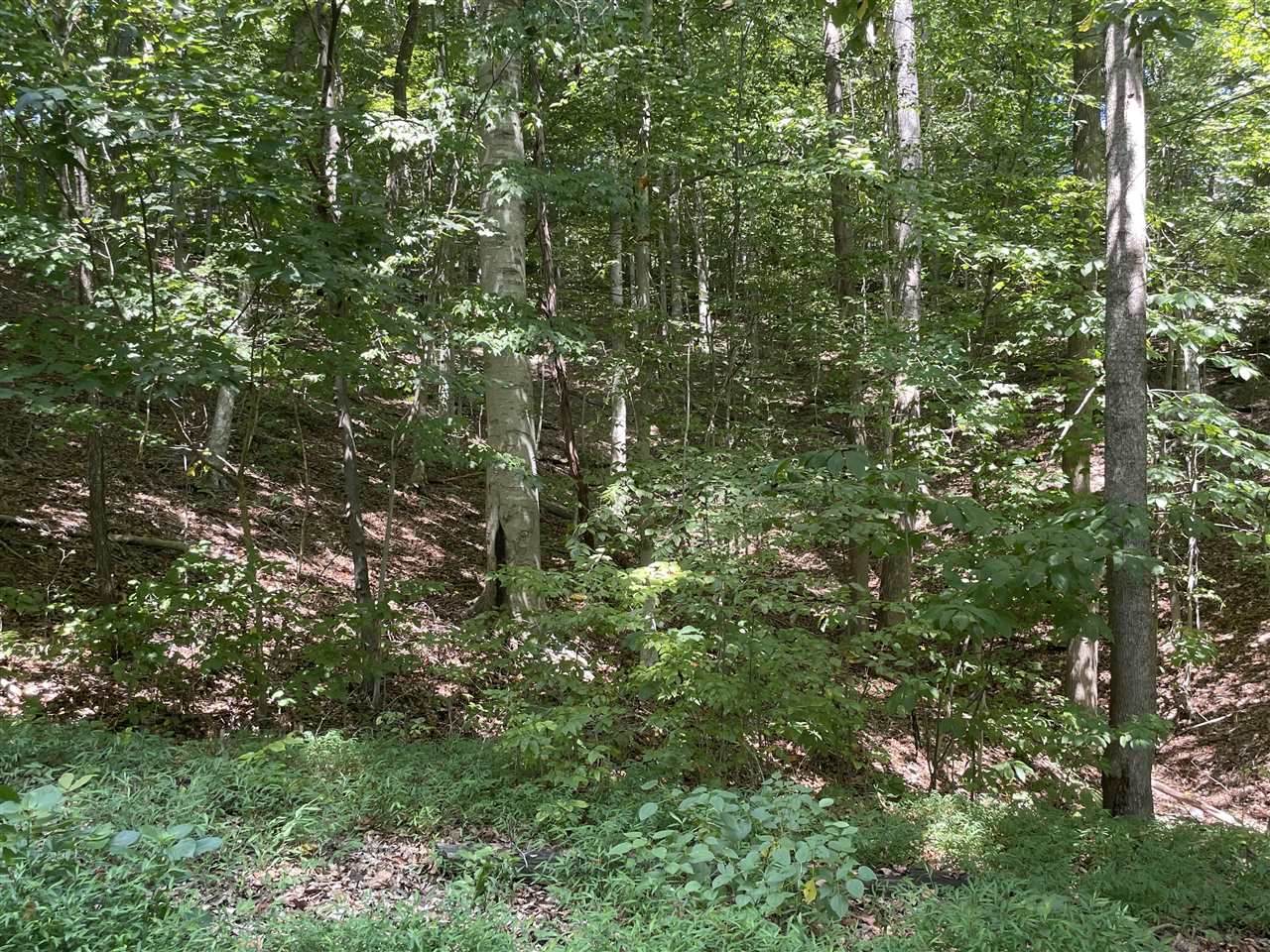 Lots 35-38 Navajo Trail - Photo 1
