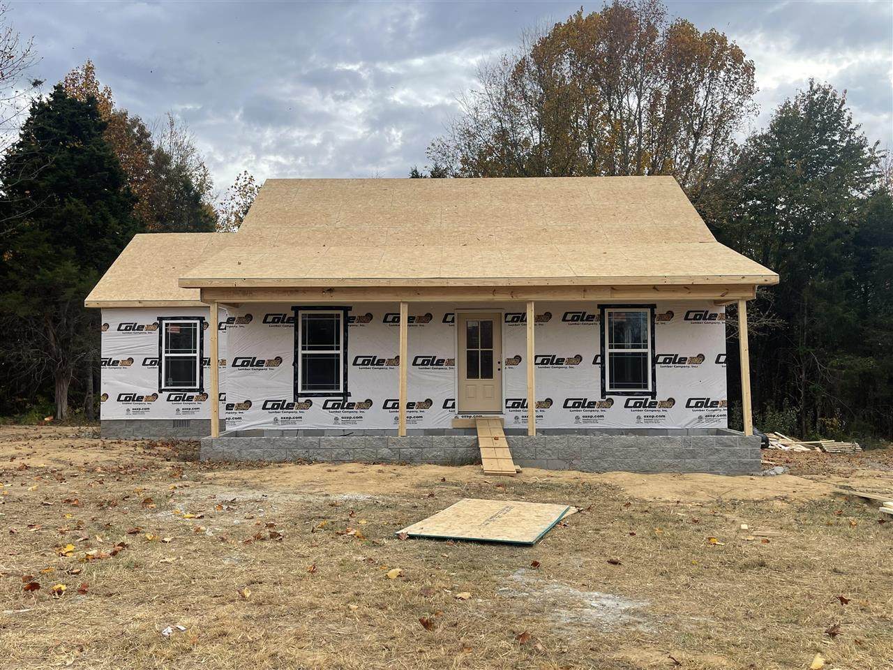 250 Mustang Drive - Photo 1