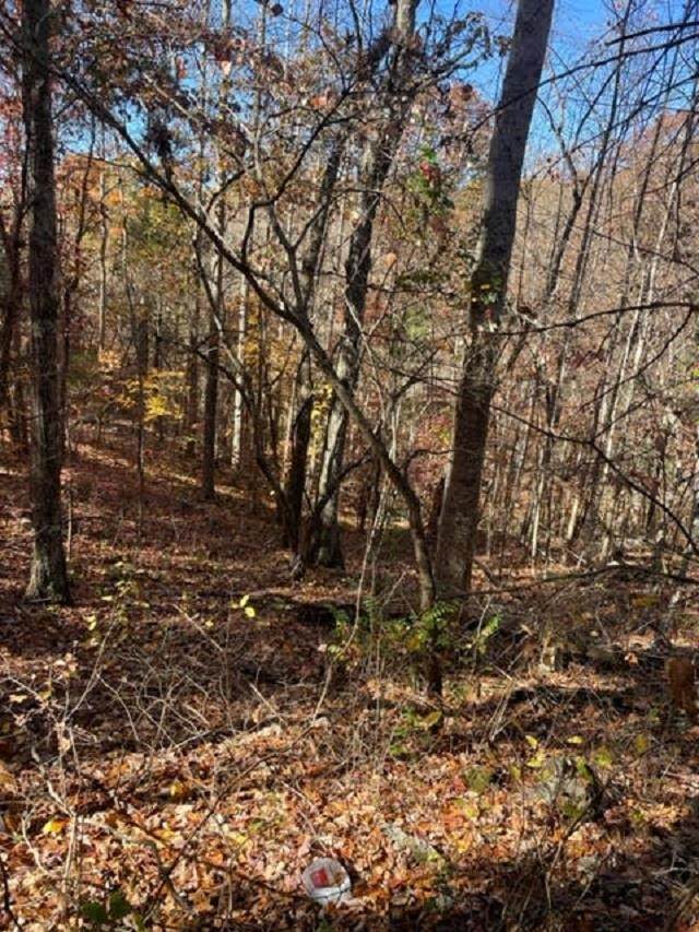 AC Hatcher Valley Road - Photo 1