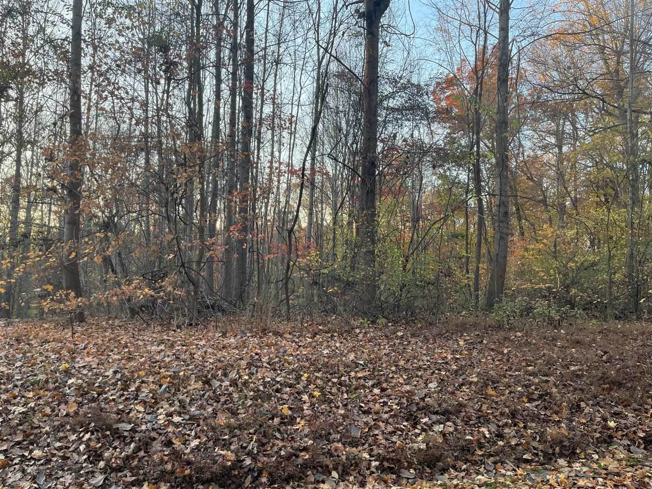 Lots 404-405 Bullfrog Trail - Photo 1