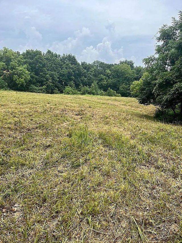 3538 Mt Lebanon Church Road - Photo 1