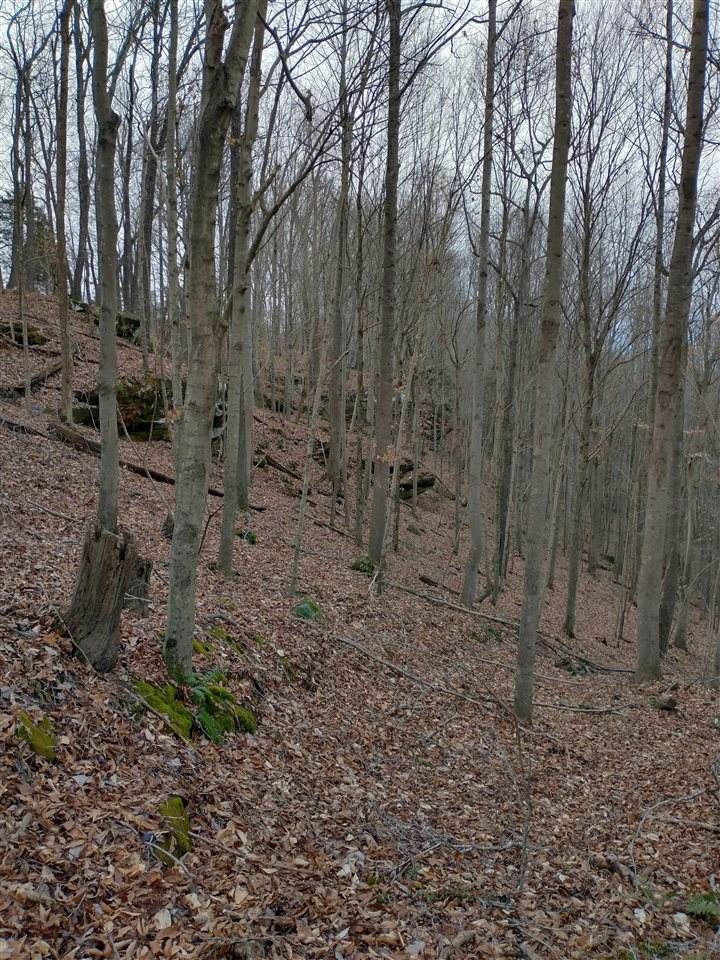 Nolin Dam Road - Photo 1