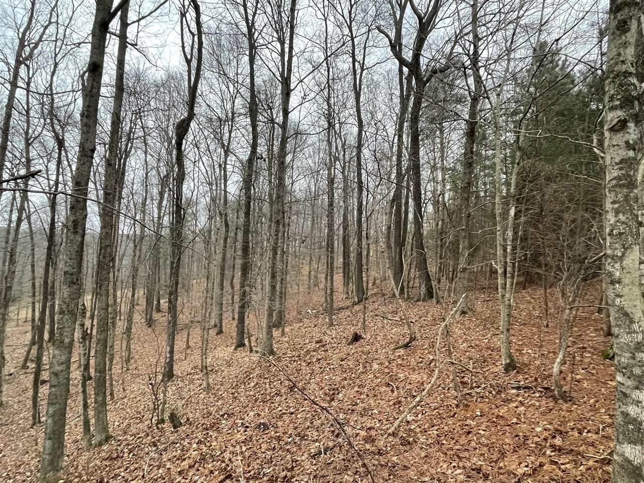 0 Canyon Run Road - Photo 1