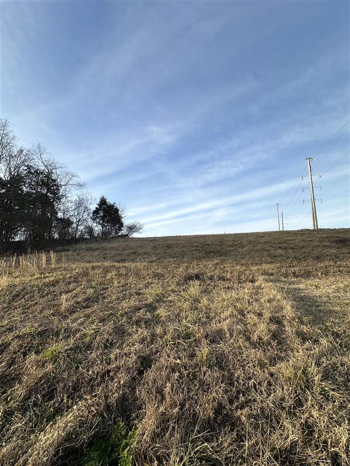 0 Turner Ford Road - Photo 1