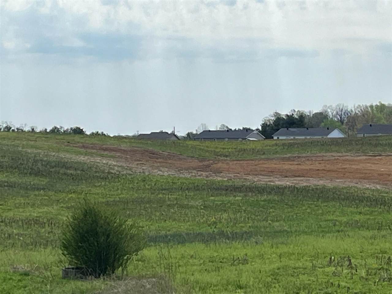 0 Holt Drive - Photo 1