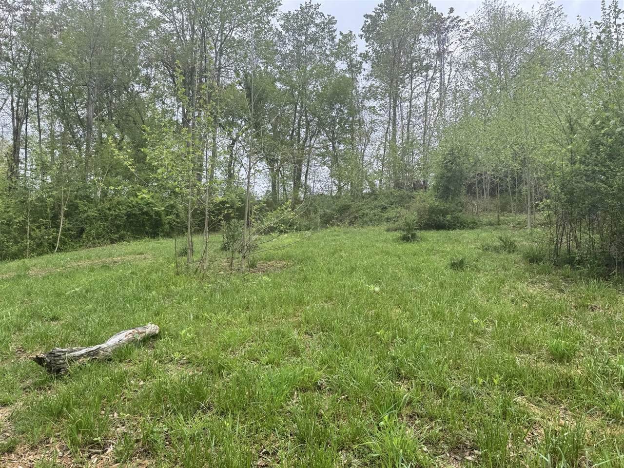 64 Lex Carter Circle - Photo 1
