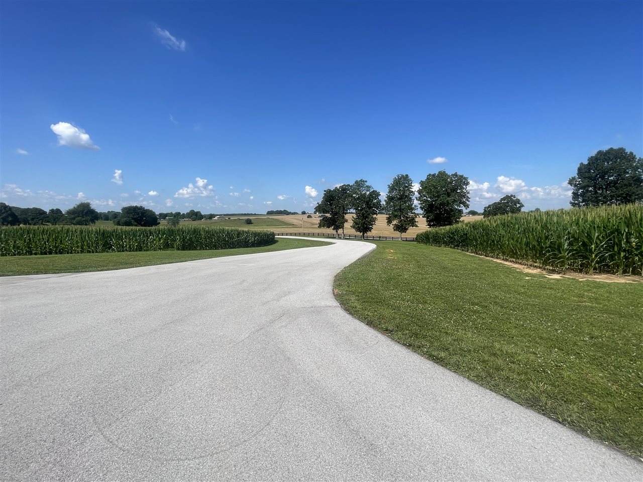 1473 Steele Road - Photo 1