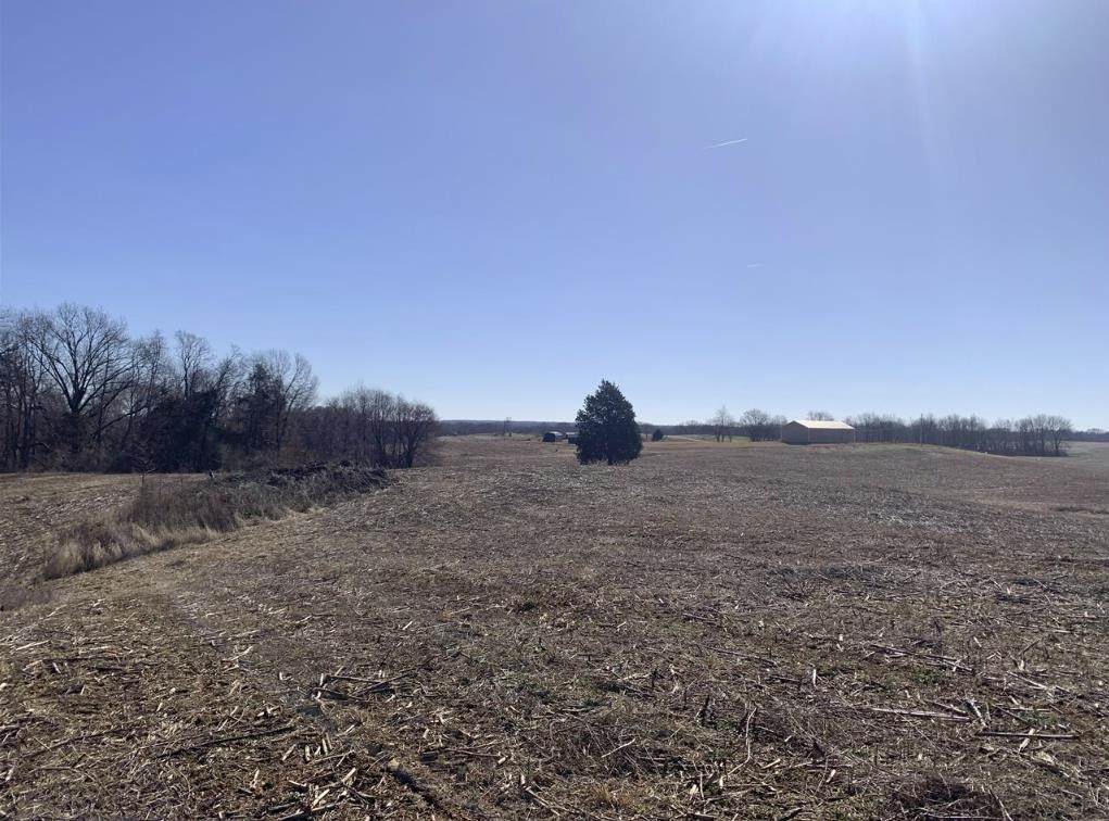 Lot 12 Rocky Hill Road - Photo 1