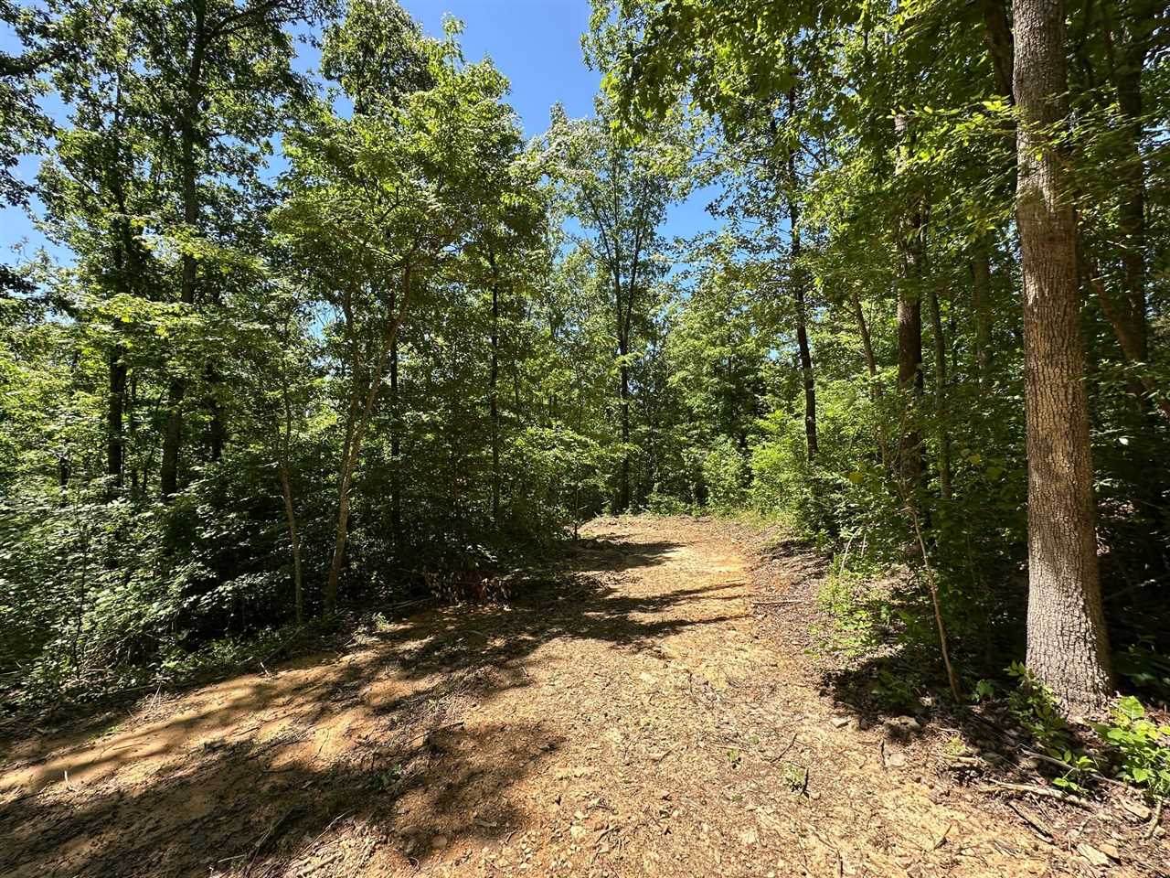 01 Riverside Benleo Road - Photo 1