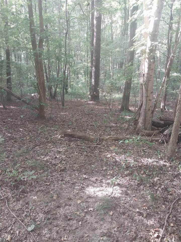 0 Duncan Lane - Photo 1