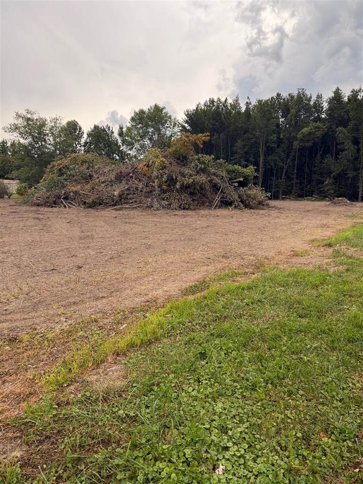 220 Chalybeate School Road - Photo 1