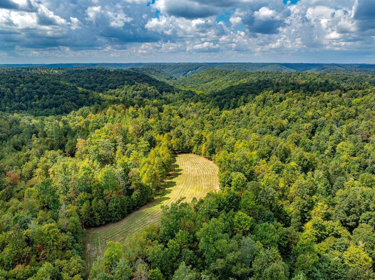 1335 Greenbriar Road - Photo 1