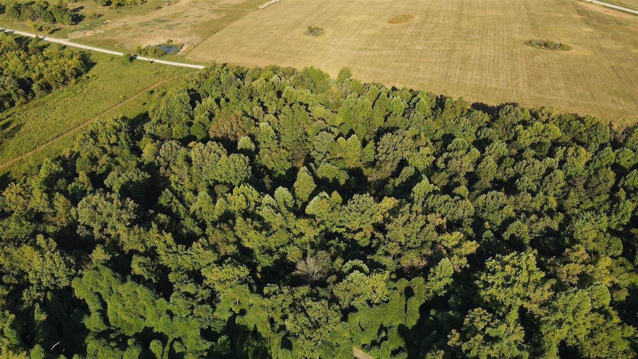 0 Carter Ferry Road - Photo 1