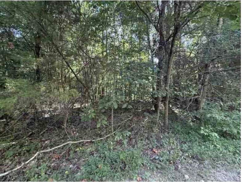 2235 Larry Hunt Road - Photo 1