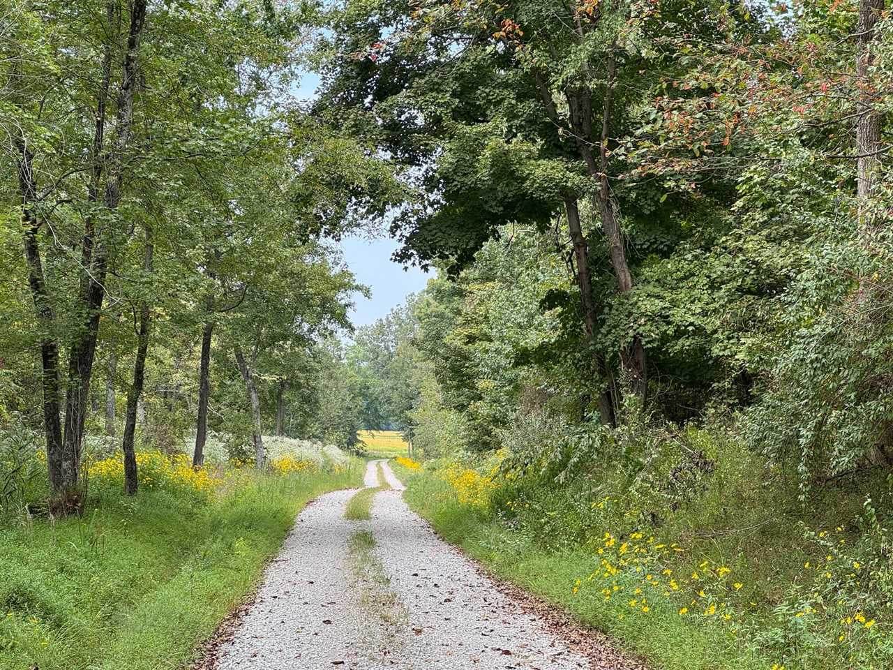 1250 Ashby Lane - Photo 1