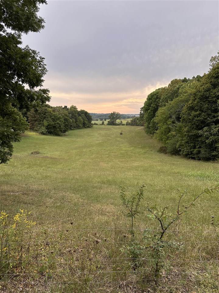  Durham Springs Road - Photo 1