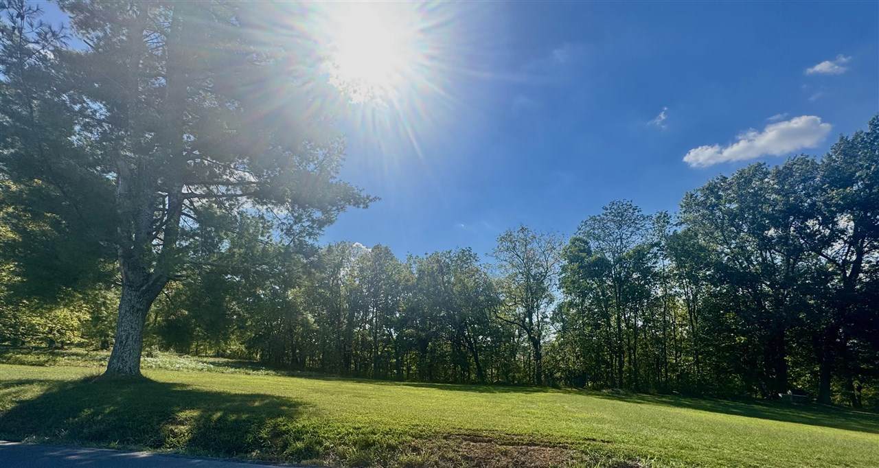 11 Acres Woodburn Allen Springs Road - Photo 1