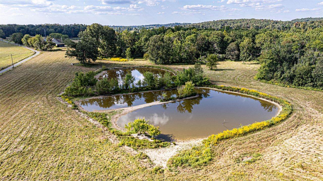 0 Gaston Road - Photo 1