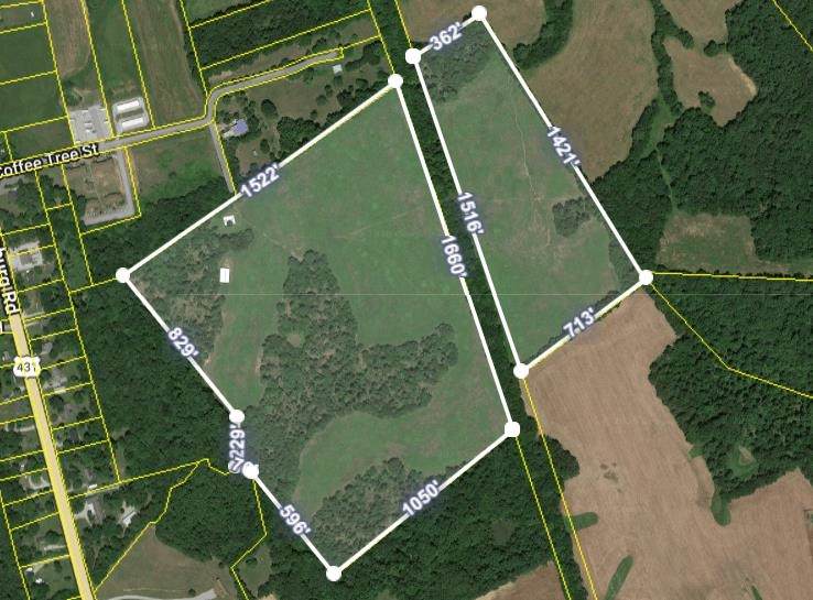 0 Coffee Tree Lane - Photo 1