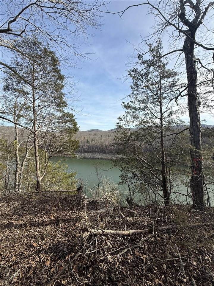1206 Tateville Antioch Road - Photo 1
