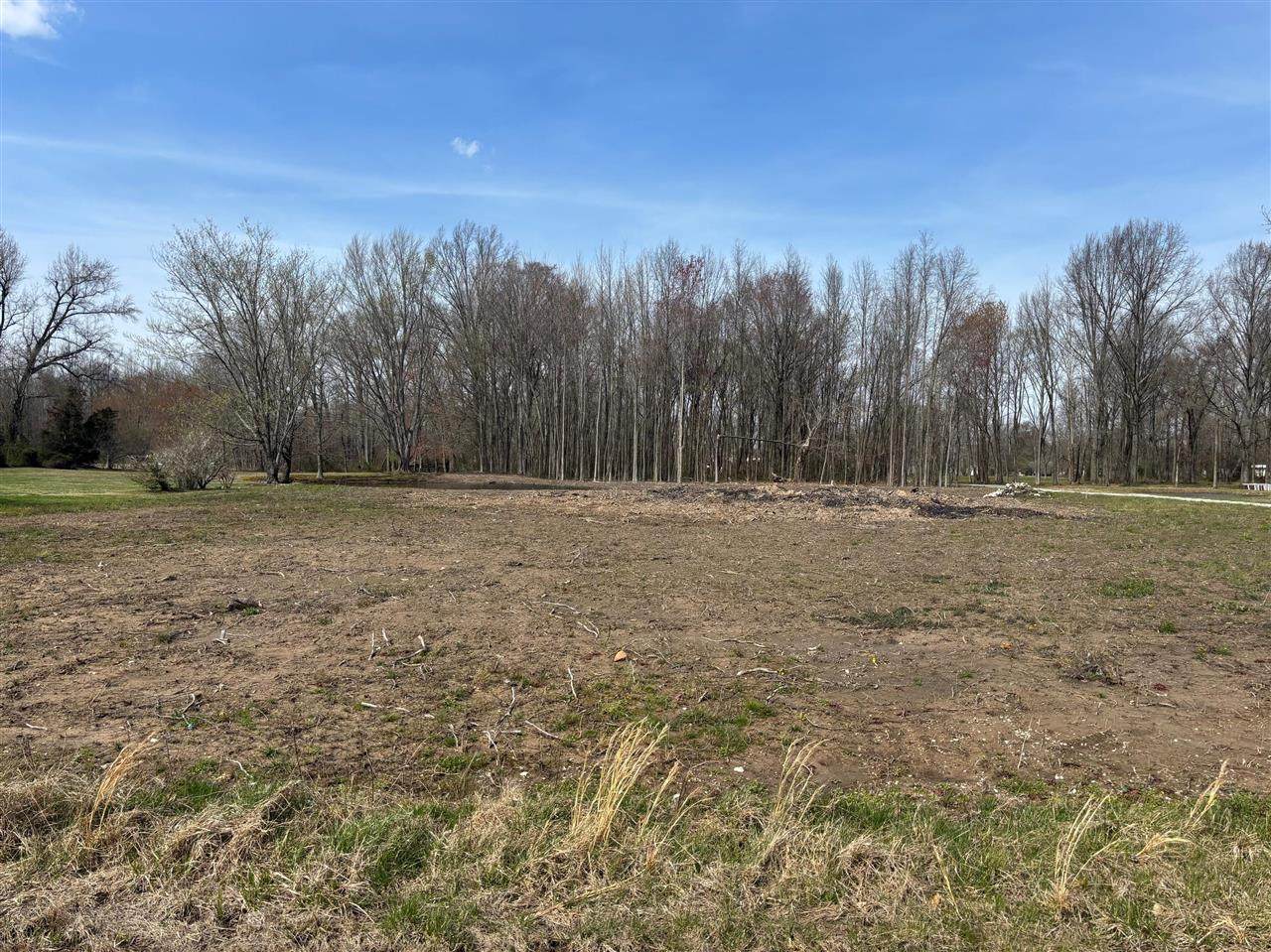 220 Chalybeate School Road - Photo 1