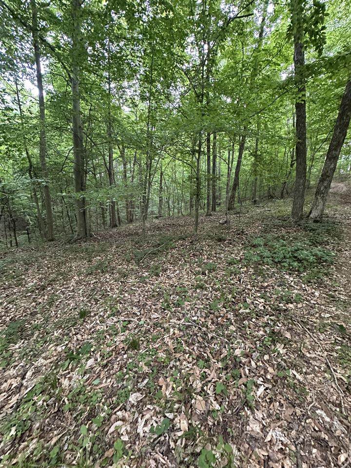 https://bt-photos.global.ssl.fastly.net/bowlinggreen/orig_boomver_1_RA20262403-2.jpg