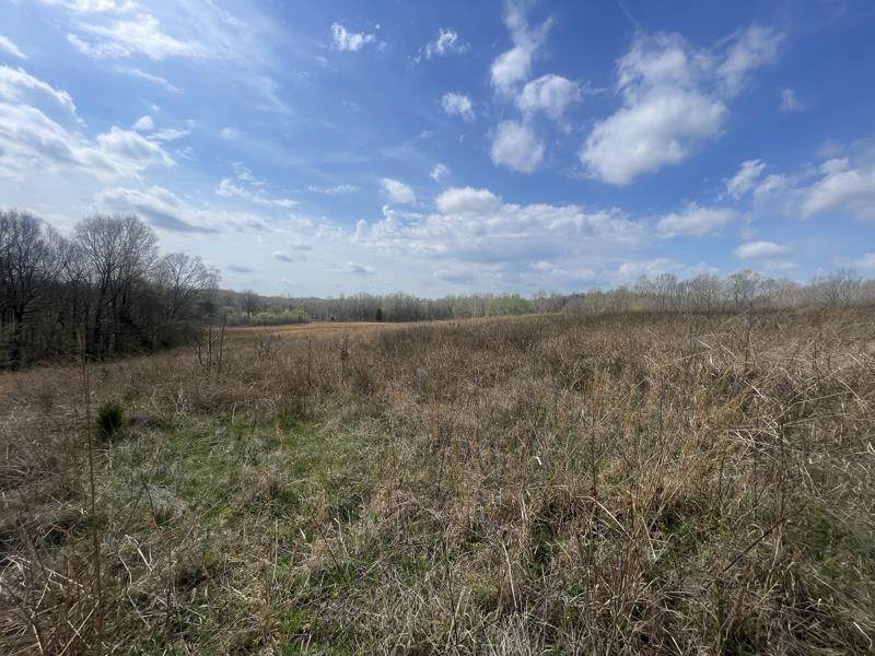 9356 Caneyville Road - Photo 1