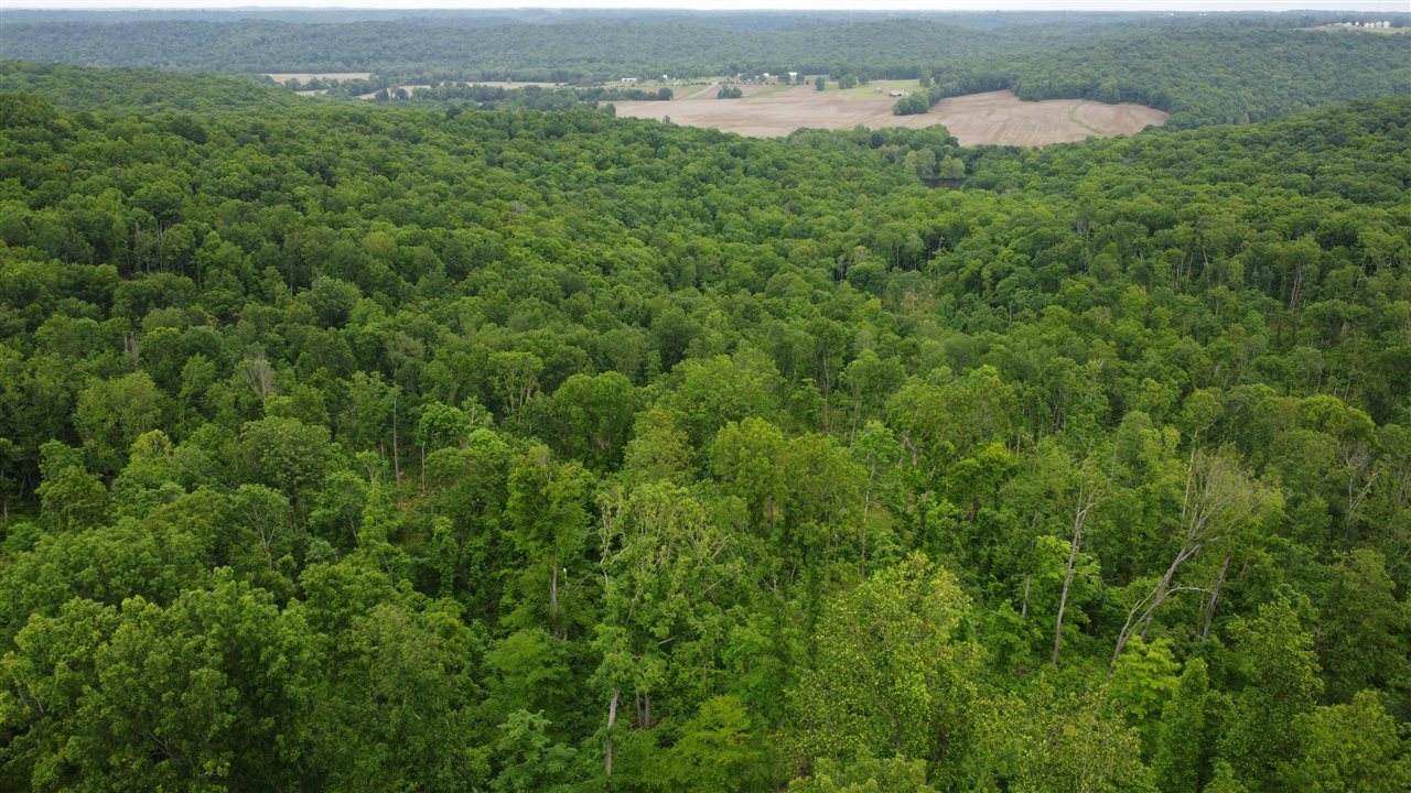 48 Acres Marvin Powell Road - Photo 1
