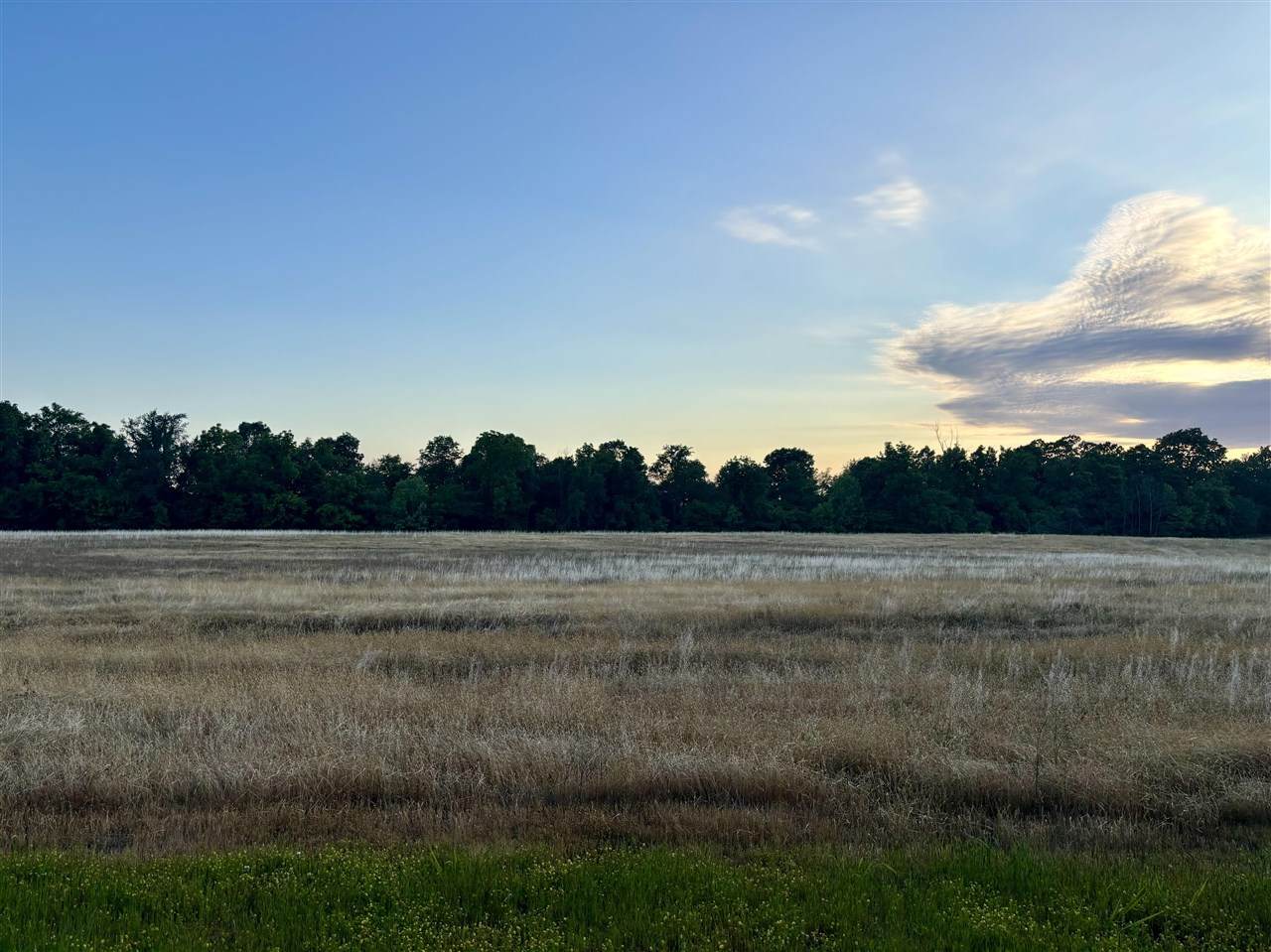 23.9 Acres Westbrook Road - Photo 1