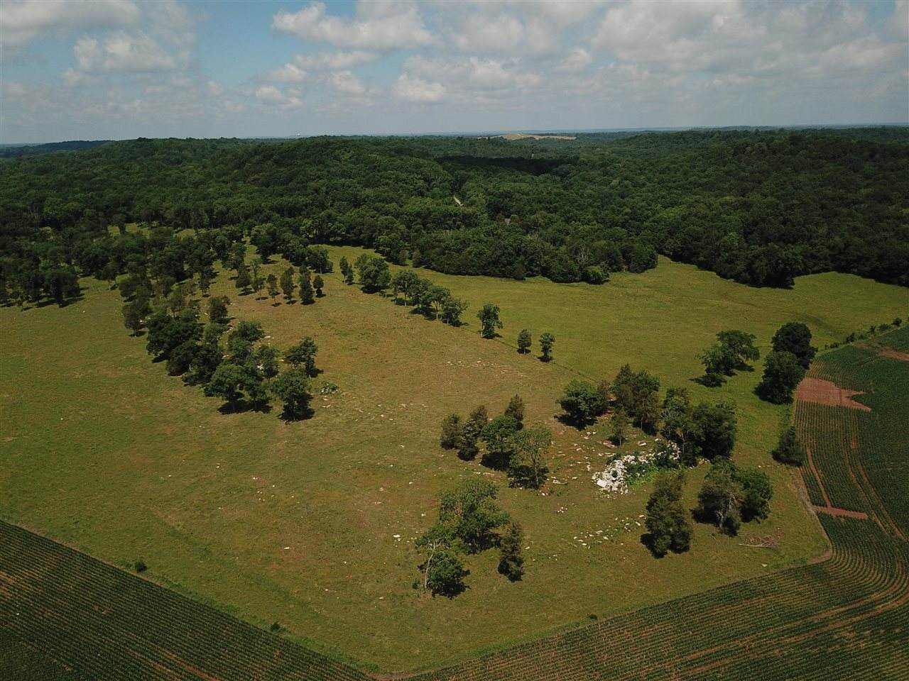 01 W H Brown Road - Photo 1